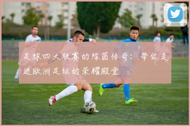 足球四大联赛的绿茵传奇:带你走进欧洲足坛的荣耀殿堂